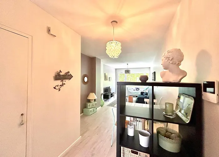 Apartamento Centre-ville Avec Parking Et Wifi - Fr-1-432-96 Annecy